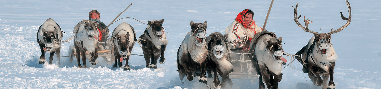 Sustainable growth strategy